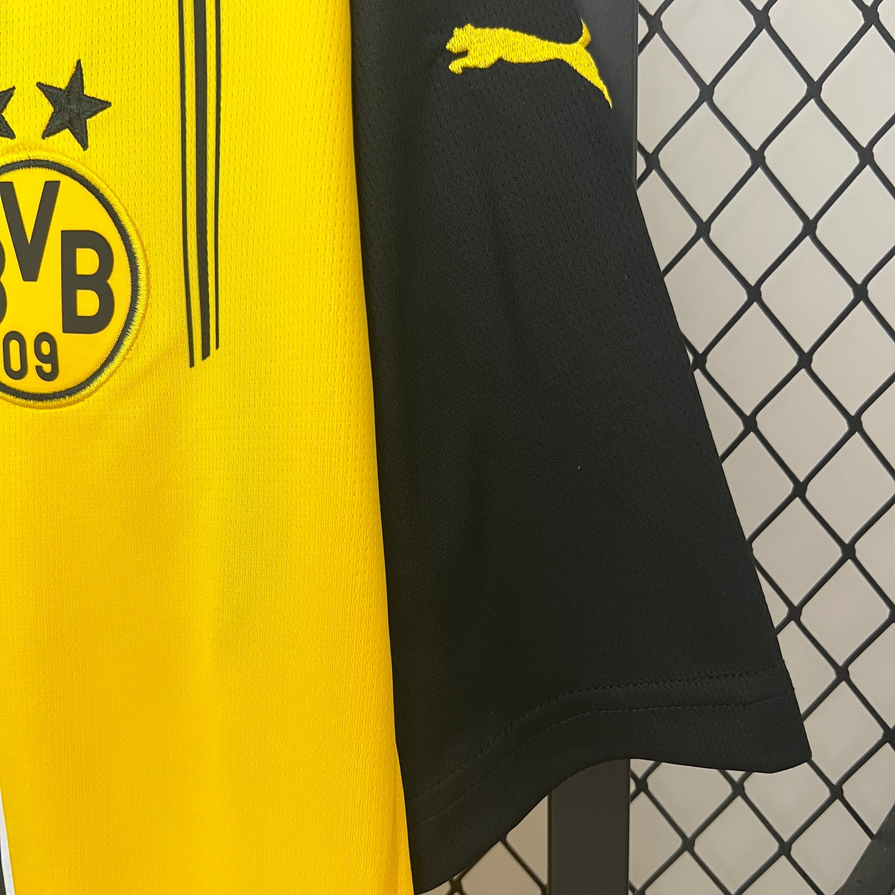 Dortmund Home 24/25