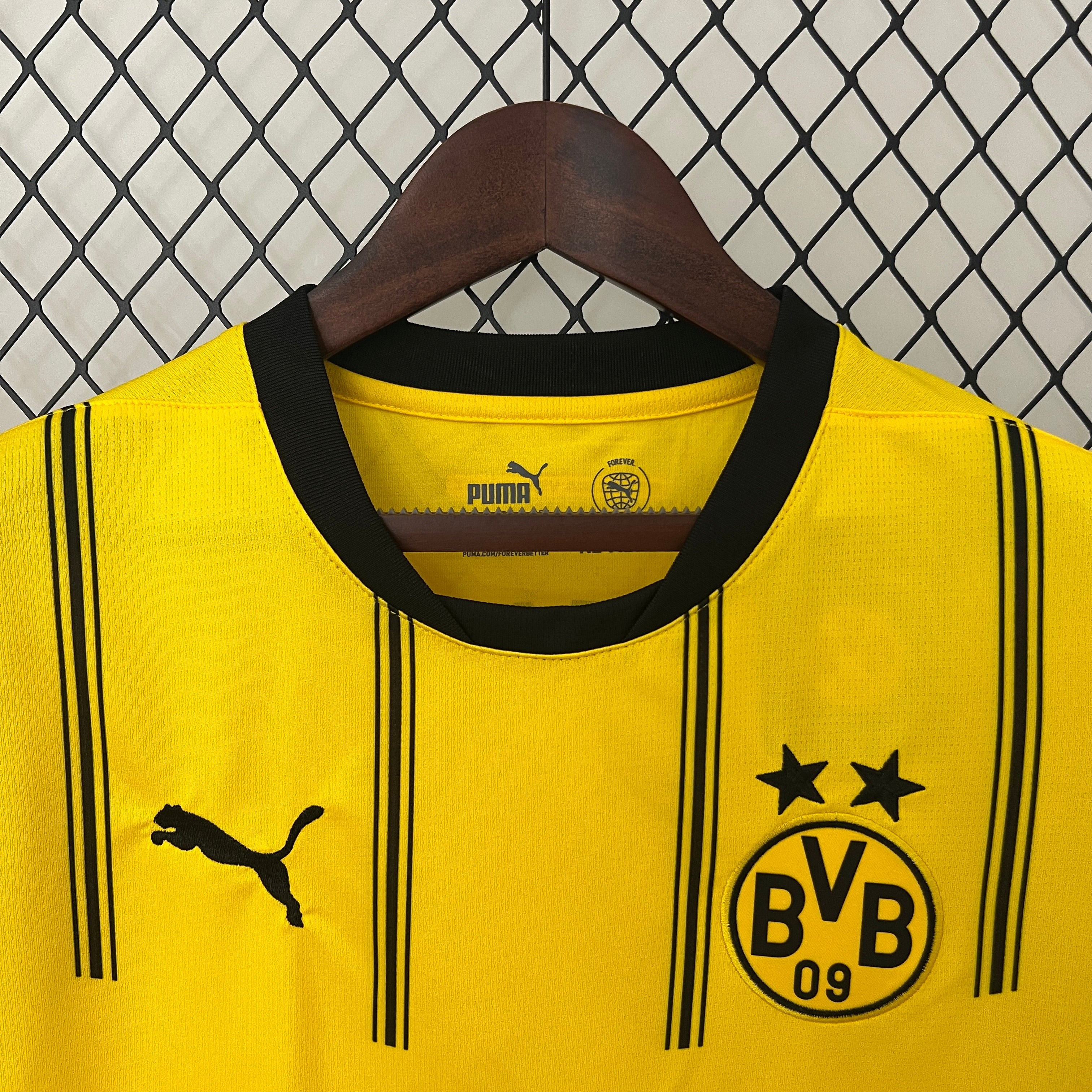 Dortmund Home 24/25