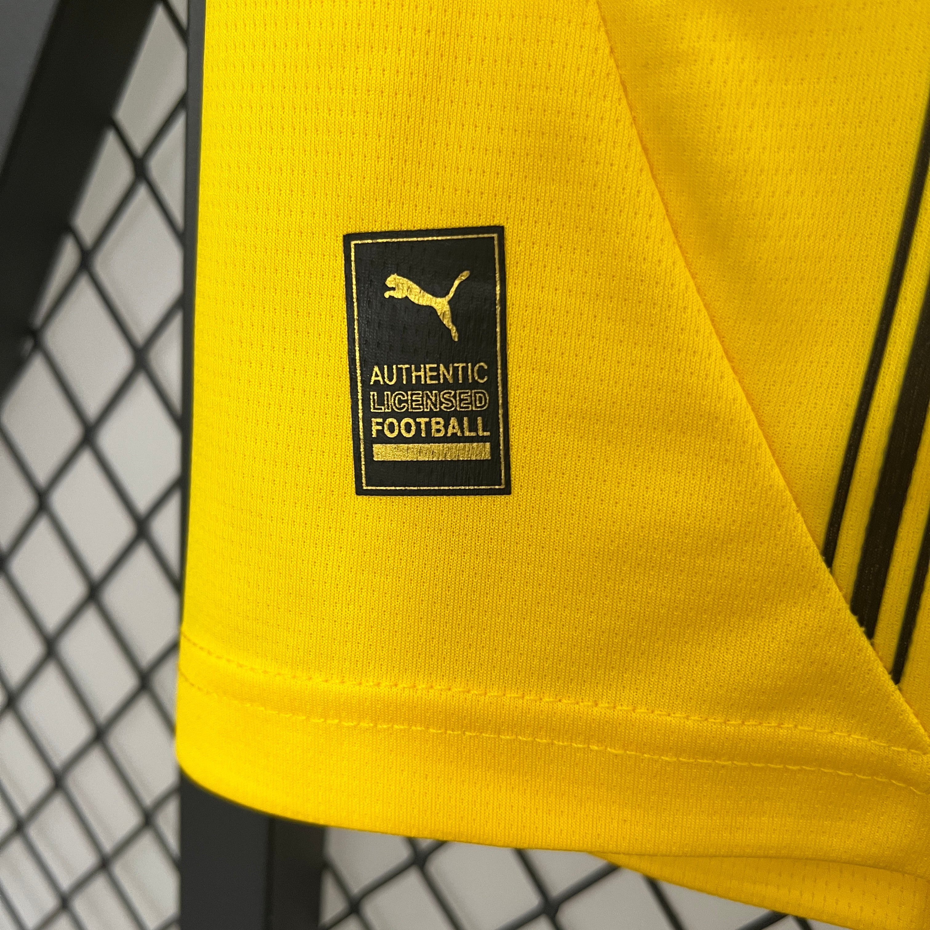 Dortmund Home 24/25