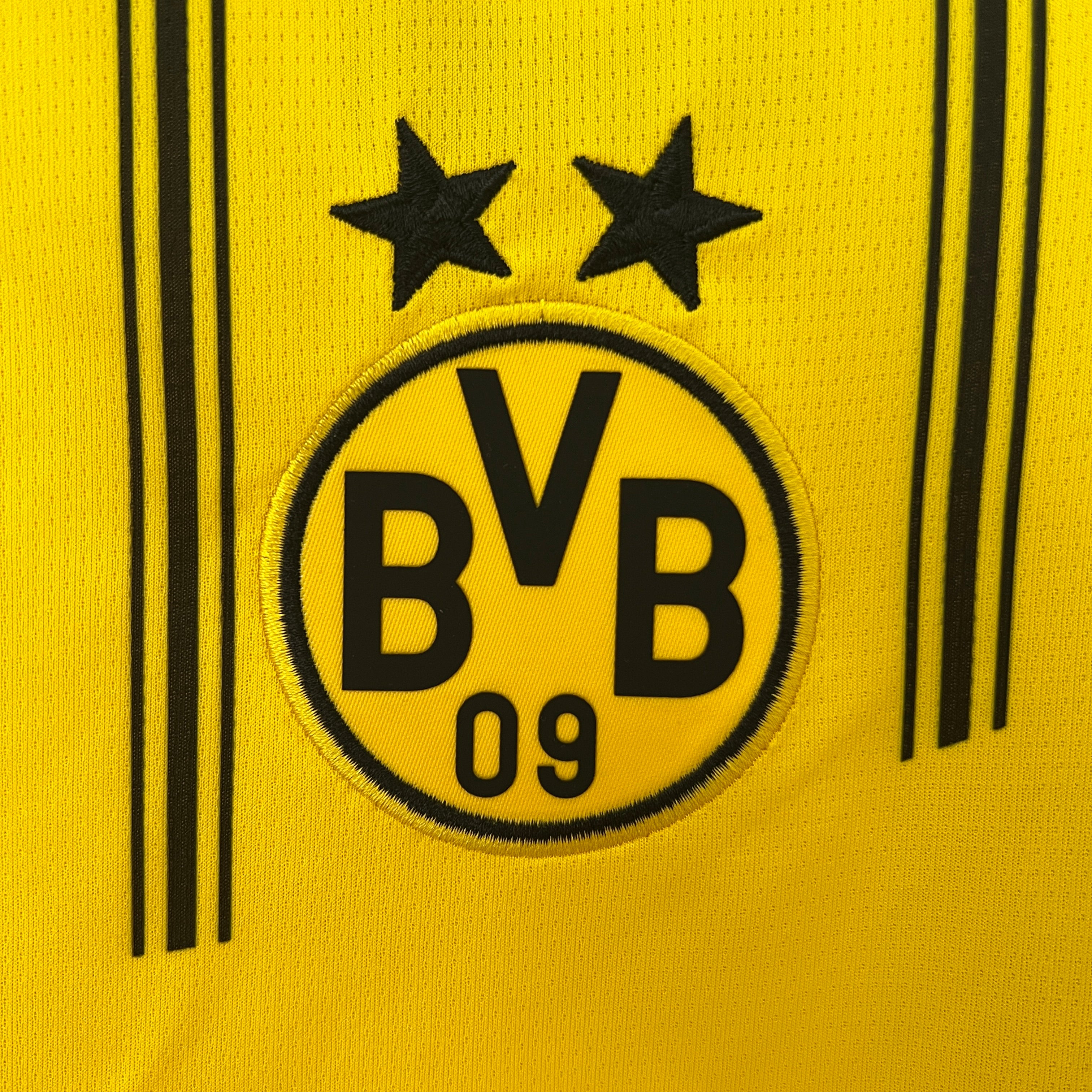 Dortmund Home 24/25